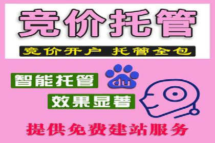 百度广告推广投入与回报的惊人案例