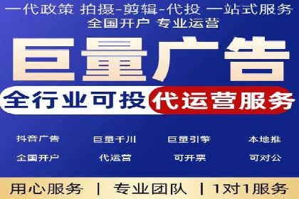 网络推广与竞价优化成功案例